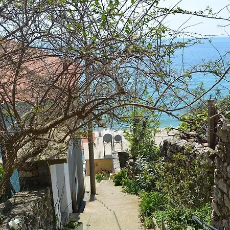 Bujar Qeparo
